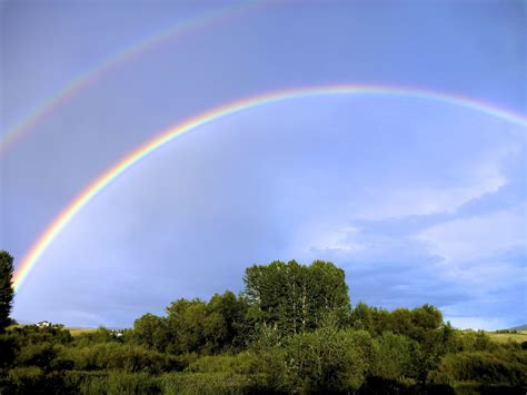 Great rainbows in our backyard! | Backyard, Outdoor, Places