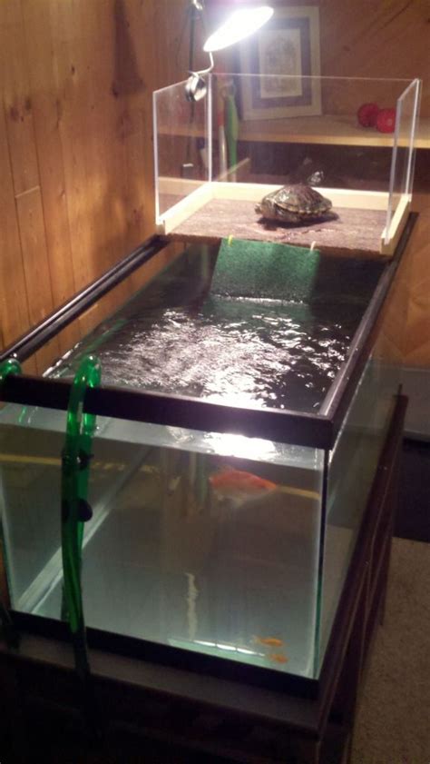 Diy Aquatic Turtle Basking Platform Thrive Turtle Elevated Basking