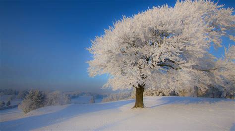 Beautiful Winter Landscape Mac Wallpaper Download Allmacwallpaper