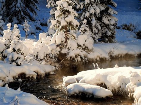 Images Winter Nature Seasons