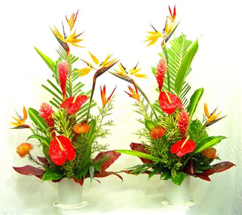 Flowers kauai specializes in shipping tropical flower arrangements nationwide. Tropical Flower Arrangements Gallery | Tropical Flower ...