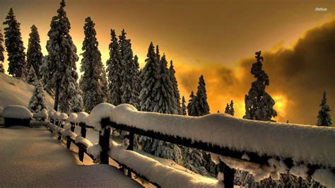 Winter Sunset Hd Wallpaper 50 Images