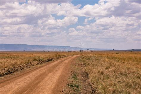 Maasai Mara Triangle National Game Reserve Narok County Rift Valley In