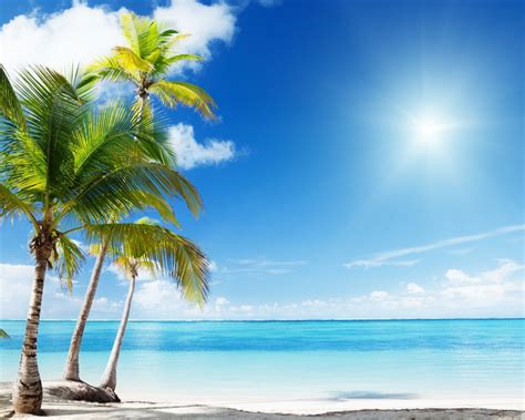 Free Download 1280x1024 Tropical Beach Desktop Pc And Mac Wallpaper