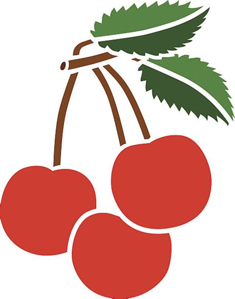 Bing Cherry Illustrations Royalty Free Vector Graphics And Clip Art Istock