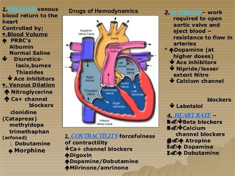 Hemodynamics Basic Concepts Heart Icu Nursing Cardiac