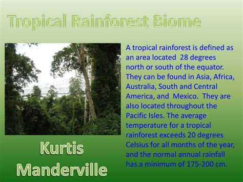 Most importantly, they receive high rainfall throughout the year. PPT - Tropical Rainforest Biome PowerPoint Presentation ...