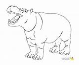 Pages Hippo Coloring Creatives4kids sketch template