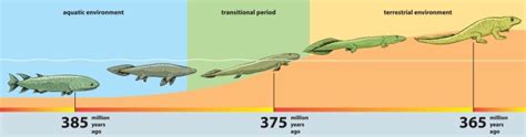 La era Paleozoica: características y períodos principales - Red Historia