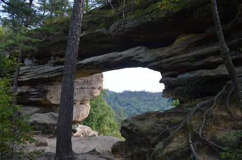 Hiking Red River Gorge Answers In Genesis