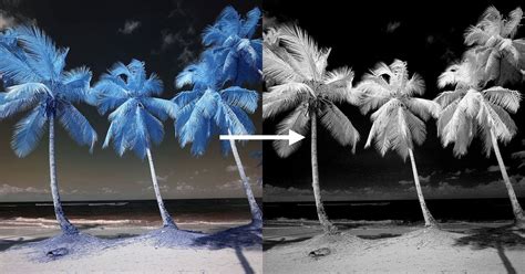 Steps To Creating A Dramatic B W Infrared Photo In Photoshop Petapixel