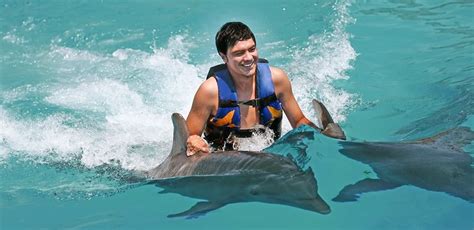 Dolphin Cove Montego Bay Tour Jamaica Hidden Treasures Vacation And