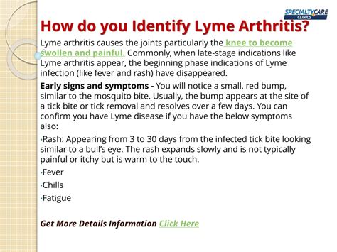 Ppt Lyme Disease Symptoms Treatment Prevention And Recovery