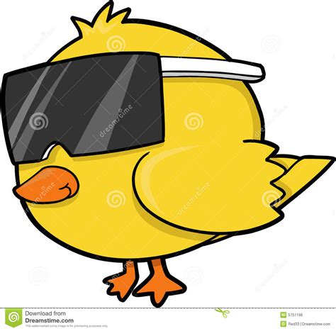 Cool Chick Vector Stock Vector Image Of Shades Farm 5751196