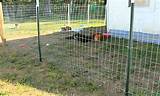 Electric Pet Fence Wire Images