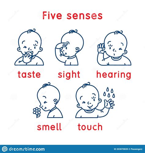 Five Senses Icon Touch Taste Hearing Sight Smell Stock Vector