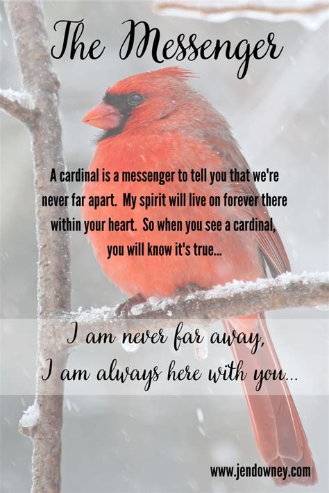 Red Cardinal Spiritual Meaning Spiritual Explainer
