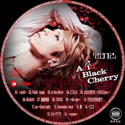 源 かすたむ工房：acid Black Cherry 『2012』