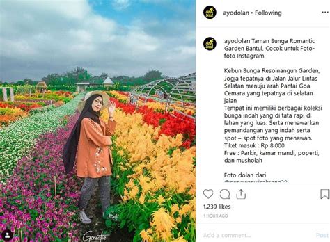 Indahnya Resoinangun Garden Taman Instagramable Bunga Warna Warni Di