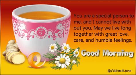 Every individual is created for someone else and i am happy that you are here for. Good Morning Messages for Him | Wishes4Lover