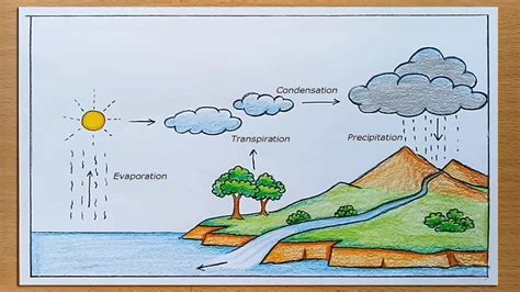 How To Draw Water Cycle Of A School Project Water Cycle Cycle