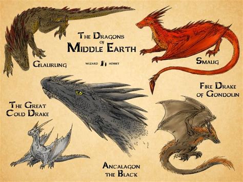 Dragons Of Middle Earth Dragons Of Middle Earth Middle Earth Lotr Art