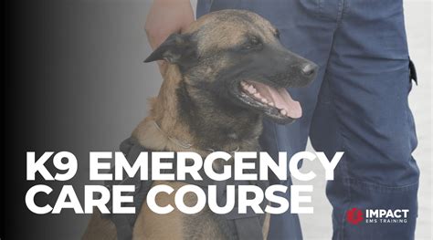 K9 Emergency Care Ems Training Courses Impact Ems