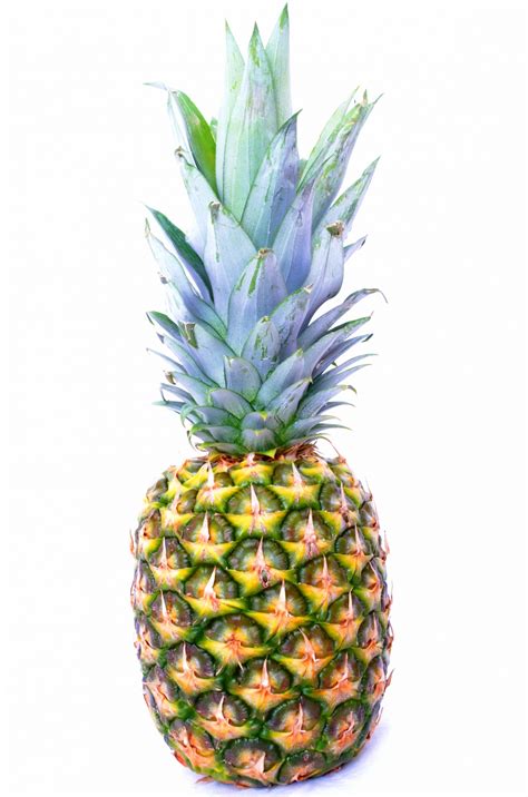 Pineapple Free Stock Photo Public Domain Pictures