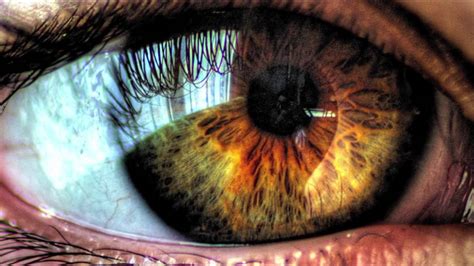 Get Golden Brown Amber Eyes Fast Subliminals Frequencies Hypnosis