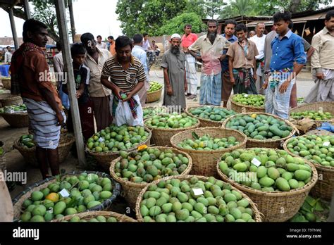 Dhaka Bangladesh May 31 2011 Baneshwar Wholesale Mango Market In