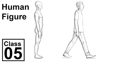 Human Body Side View Drawing