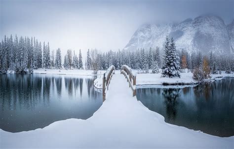 Wallpaper Id 124578 Canada Winter Snow Outdoors Bridge