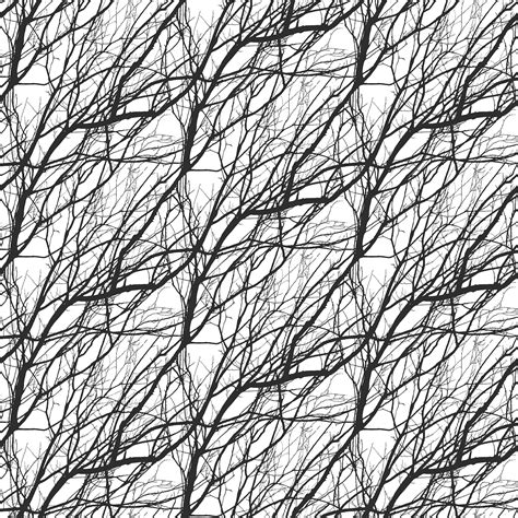 Silhouette Black White Branches 778148275238