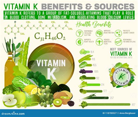 Vitamin K Infographic Stock Vector Illustration Of Education 118700527