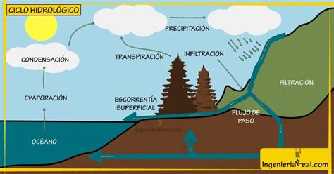 🥇🧰 ¿qué Estudia La Hidrología
