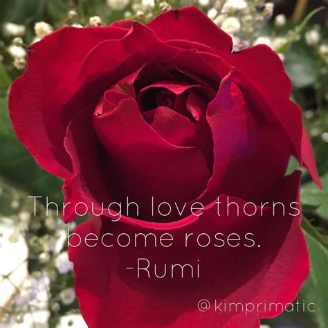 Rumi Through Love Thorns Become Roses Osho Quotes On Life Meaningful