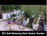 Gutter Garden System Photos