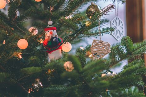 무료 이미지 크리스마스 장식 크리스마스 트리 가문비 전나무 크리스마스 이브 구과 식물 우디 식물 Holiday