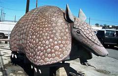 Flea Market Armadillo