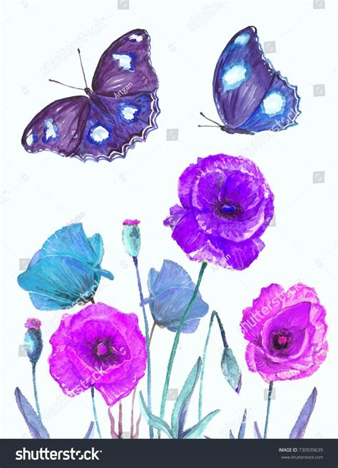 Watercolor Illustration Of Botanical Flowers And Butterflies Drawing