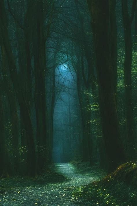 Fairytales Fantasy Landscape Dark Green Aesthetic Mystical Forest
