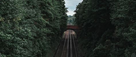 Download Wallpaper 2560x1080 Railway Rails Trees Tunnel Corridor