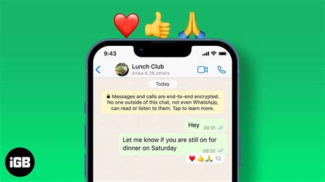 How To React To Whatsapp Messages On Iphone And Web Igeeksblog