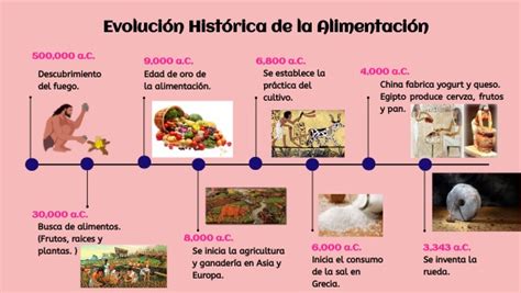 Evolución Histórica De La Alimentación