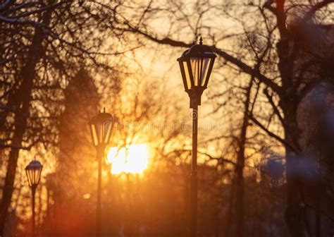 Lanterns In The Park At Sunset Stock Image Image Of Landscape City