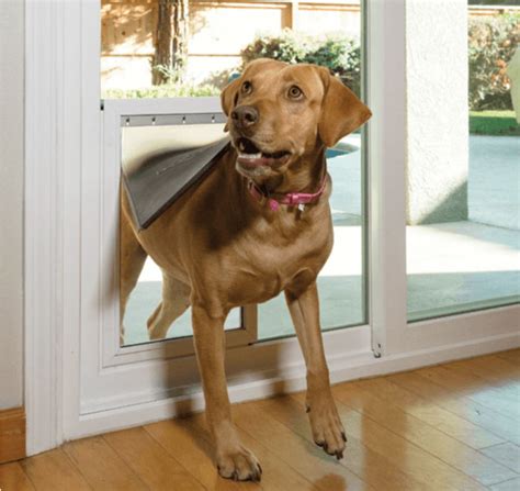 If you are looking to install a pet door for your companion animal, in glass pet doors gives you some great options. Anlin Pet Door | In-Glass Pet Door | Anlin Windows & Doors