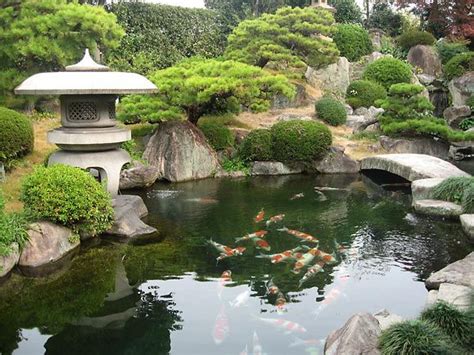 Japanese koi farms | Japanese garden, Japan garden, Pond water features