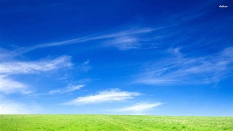 12469 Field Under Clear Sky Nature Wallpaper Views Full Hd Nature Sky