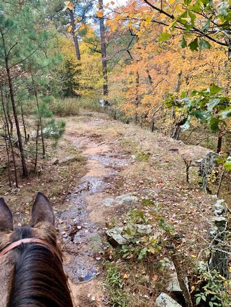 Take A Fall Foliage Trail Ride On Horseback At Robbers Cave Stables In