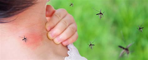 How Can I Help Protect My Kids From Mosquito Bites